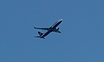 IMG_0314