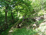 DSC00611