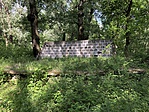 IMG_3494