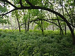 IMG_20180513_184556