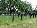 P1100284