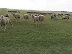 IMG_20180620_090357