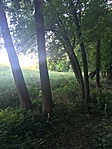 IMG_1727