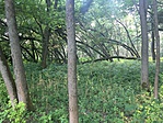 IMG_1729