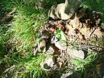 IMG_20180605_165045