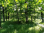IMG_20180605_165035