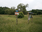 P6060161