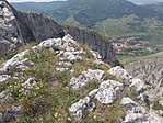 IMAG0302