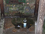 DSCF0862
