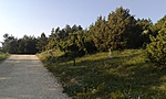 20180519_175838