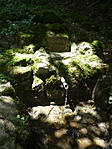 P1160896