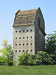 IMG_0131