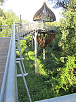 IMG_0230