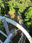 IMG_0239