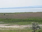 IMG_0420