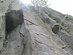 IMG_1223