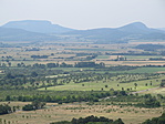 IMG_1229