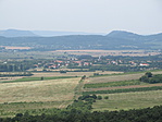 IMG_1230