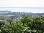 IMG_1232