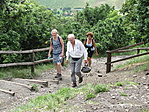 IMG_1234