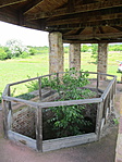 IMG_1725