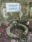 IMG_1826