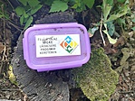 IMG_20180617_095900