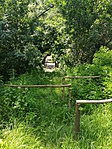 IMG_20180617_132824