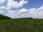 IMG_20180617_133328
