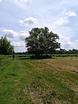 IMG_20180617_140246