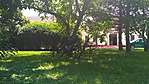 IMG_20180611_121529