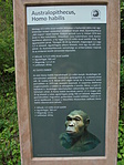 DSC03605