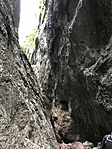IMG_0320