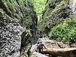 IMG_0321