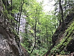 IMG_0330