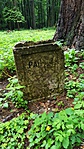 IMG-df28ea3520ee0f0b95064aab20bdd568-V