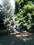 20180603_172704