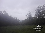IMG_20180614_143436