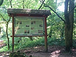 IMG_20180611_100727