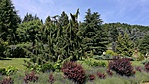 IMG_20180520_143221