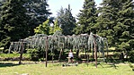 IMG_20180520_145331