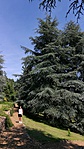IMG_20180520_144331