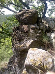 DSC00617