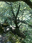 DSC00618