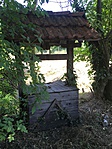 IMG_0444