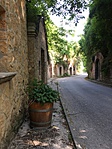 IMG_0452