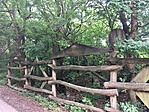 IMG_0504
