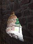 IMG_0500