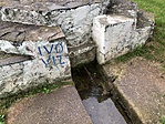 IMG_3925