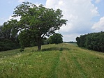 Túr töltés (láda már egészen közel...)